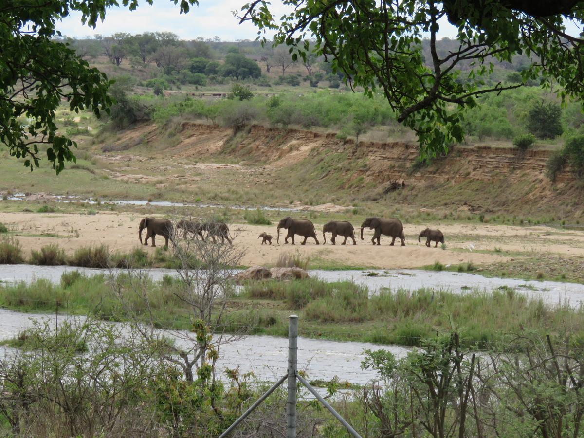 Willa Kruger View Tree House Marloth Park Zewnętrze zdjęcie