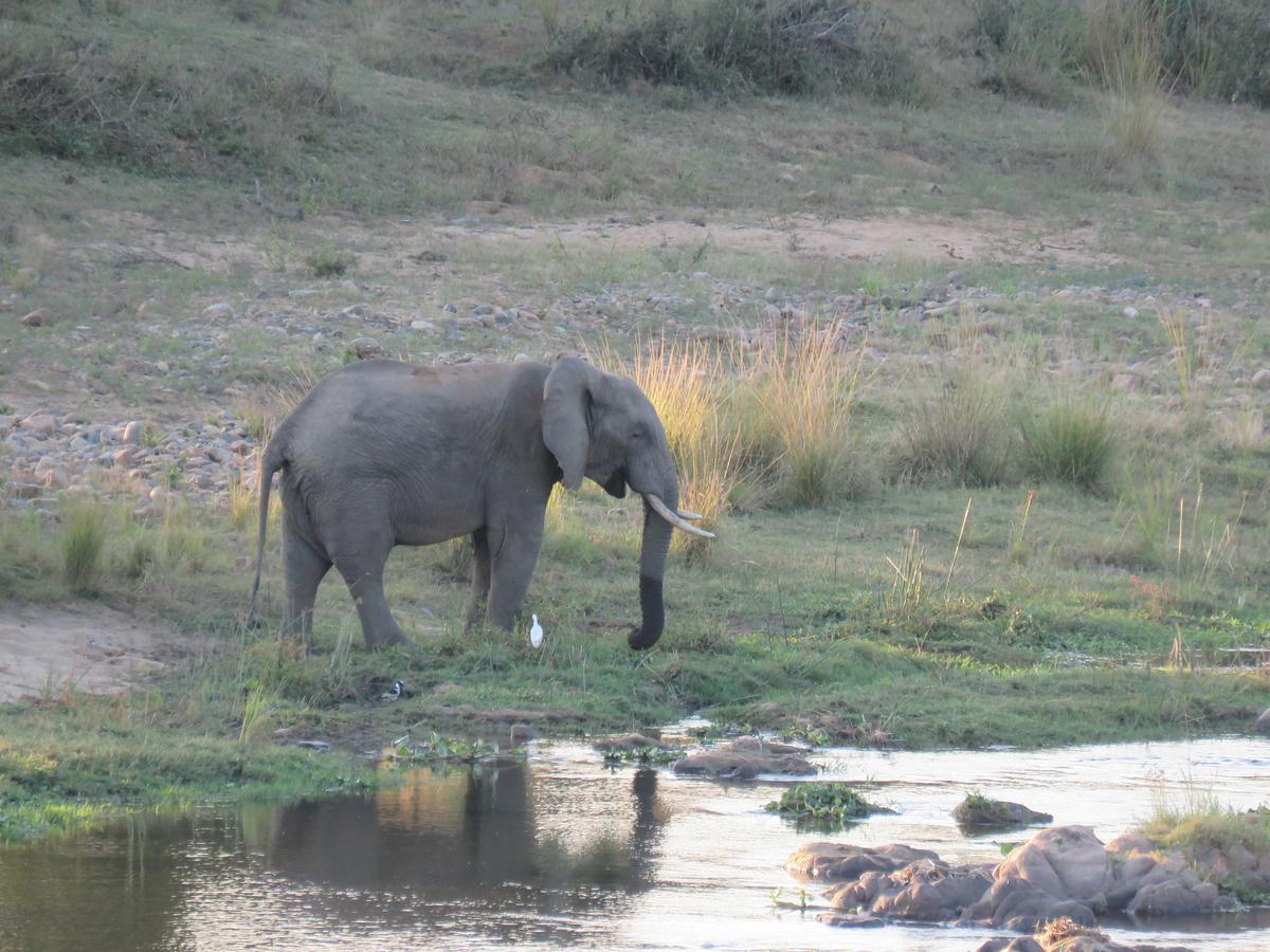 Willa Kruger View Tree House Marloth Park Zewnętrze zdjęcie