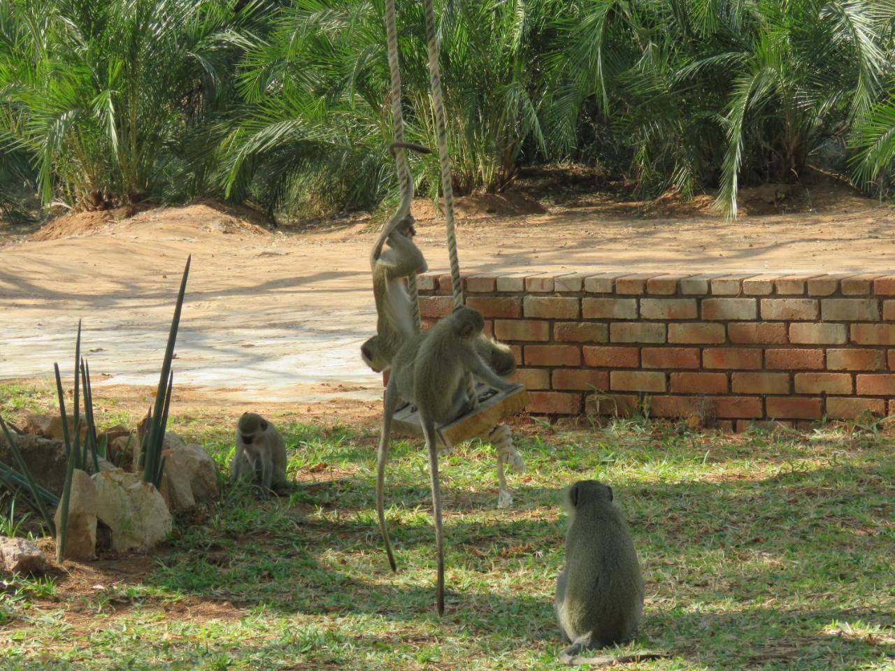 Willa Kruger View Tree House Marloth Park Zewnętrze zdjęcie